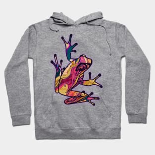 Cosmic Frog Hoodie